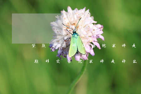 贷款逾期移交当地案件是什么意思-贷款逾期移交当地案件是什么意思啊