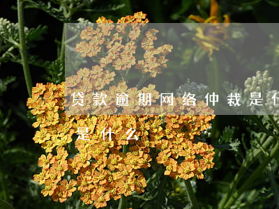 贷款逾期网络仲裁是什么(贷款逾期网络仲裁是什么)
