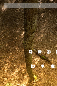 贷款逾期网络仲裁答辩书(欠网贷收到仲裁通知书会怎么样)