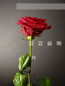 贷款逾期被关看守所(拘留期间贷款逾期怎么办)