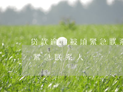 贷款逾期被填紧急联系人(朋友恶意贷款填的紧急联系人)