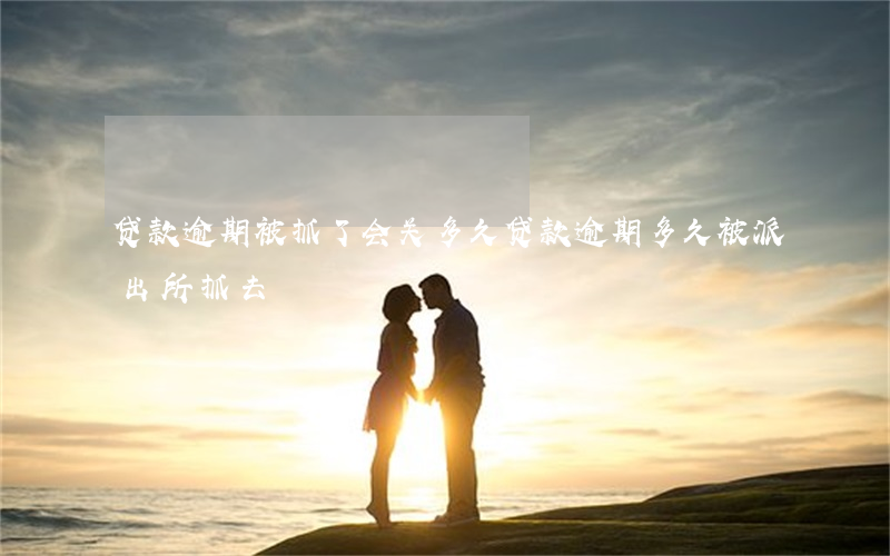 贷款逾期被抓了会关多久(贷款逾期多久被派出所抓去)