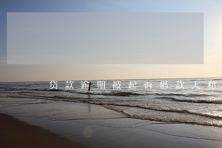 贷款逾期被起诉借款人和担保人还款怎么还