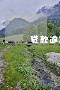 贷款逾期被起诉法院调节(贷款逾期法院调解)