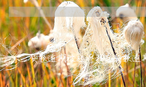 贷款逾期被起诉程序(贷款逾期被法院起诉)