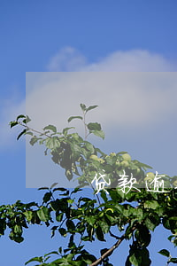 贷款逾期被起诉缺席(贷款逾期被起诉后果)