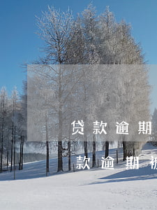 贷款逾期被银行起诉,确实还不起,怎么办-贷款逾期被银行起诉,确实还不起,怎么办