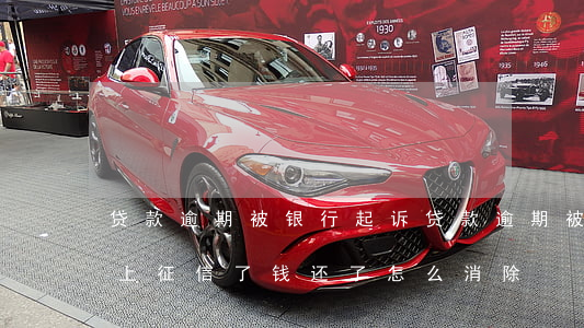 贷款逾期被银行起诉(贷款逾期被银行起诉了上征信了,钱还了怎么消除)
