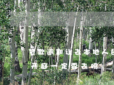 贷款逾期让去本地人民法院 贷款逾期被起诉开庭一定要去吗