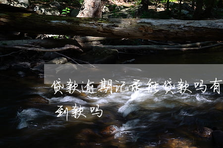 贷款逾期记录能贷款吗(有逾期记录银行能贷到款吗?)