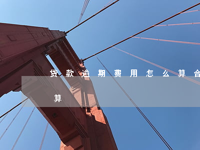 贷款逾期费用怎么算合法（贷款逾期费用怎么算）