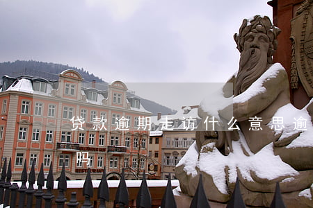 贷款逾期走访什么意思(逾期走访调查是真的吗)