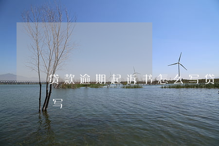 贷款逾期起诉书怎么写(贷款逾期保证书怎么写)