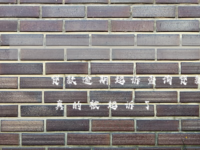 贷款逾期起诉查询(贷款逾期怎么查询是不是真的被起诉了)