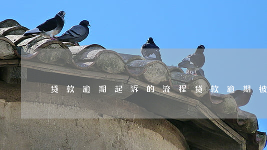 贷款逾期起诉的流程(贷款逾期被起诉的流程)