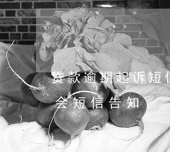 贷款逾期起诉短信图片(贷款逾期被起诉是否会短信告知)