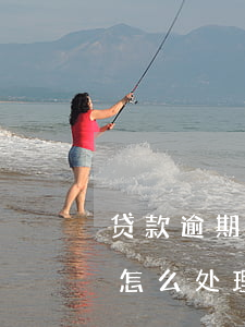 贷款逾期车被拖怎么处理(贷款车逾期被拖车怎么处理)