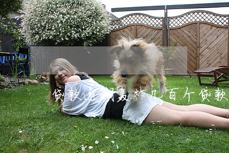 贷款逾期轰炸几百个(贷款逾期轰炸几百个)