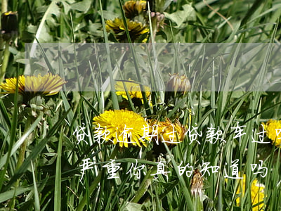 贷款逾期过贷款车过吗(车贷逾期的后果有多严重,你真的知道吗?)