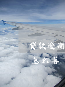 贷款逾期还利息怎么算(银行贷款逾期的利息怎么算)