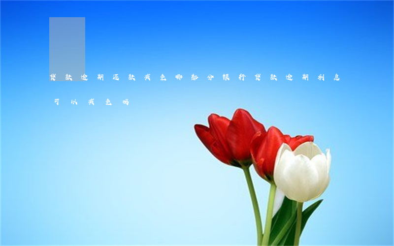 贷款逾期还款减免哪部分(银行贷款逾期利息可以减免吗)