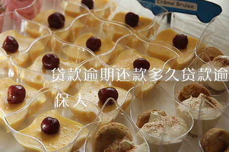 贷款逾期还款多久(贷款逾期还款多久冻结担保人)