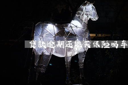贷款逾期还能买保险吗(车贷逾期能买保险吗)