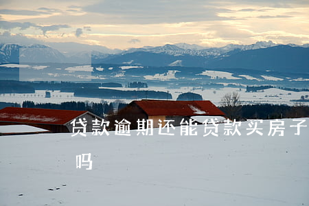 贷款逾期还能贷款买房子(逾期可以贷款买房吗)