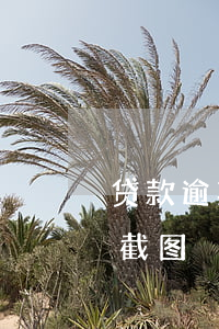 贷款逾期通知书图片(房贷逾期还款短信通知截图)