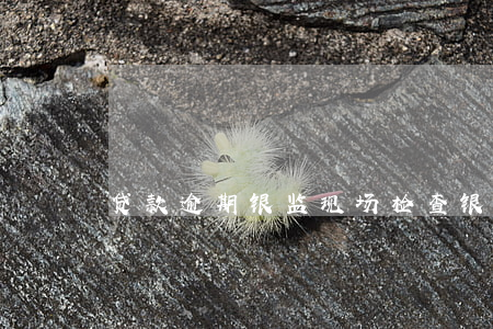 贷款逾期银监现场检查(银行监管期内)