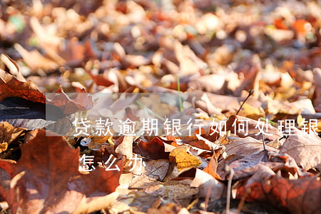 贷款逾期银行如何处理(银行贷款利息逾期了怎么办)