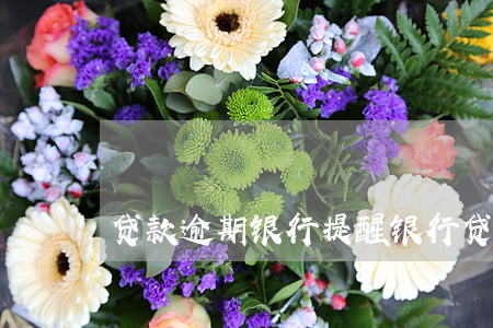 贷款逾期银行提醒(银行贷款逾期催款通知)