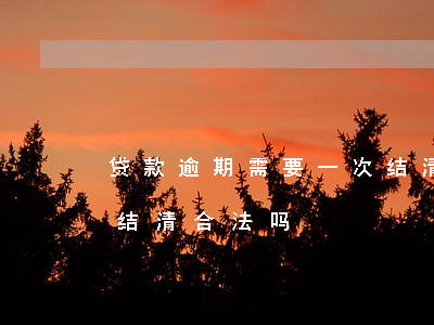 贷款逾期需要一次结清(贷款逾期强制一次性结清合法吗)
