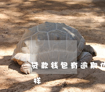 贷款钱包有逾期也能贷款(包你贷逾期会怎么样)