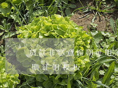 贷款非恶意逾期证明范本(银行贷款非恶意逾期证明模板)