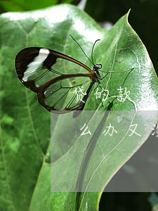 贷的款逾期没钱还怎么办-房贷款逾期了怎么办又没钱还
