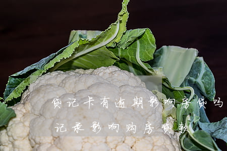 贷记卡有逾期影响房贷吗(信用卡之前有逾期记录影响购房贷款)