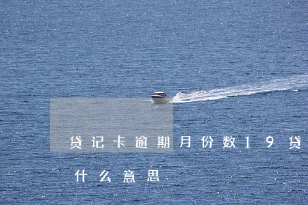 贷记卡逾期月份数19 贷记卡逾期月份数是什么意思