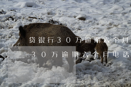 贷银行30万逾期六个月电话不接-贷银行30万逾期六个月电话不接会怎样