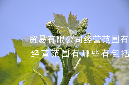 贸易有限公司经营范围有哪些(贸易有限公司经营范围有哪些?有包括生产和进出口吗)