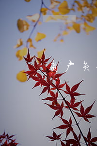 资产负债率为多少比较合适