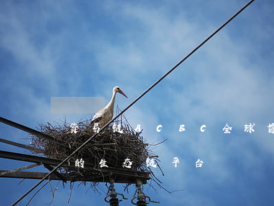 资易链（ACBC），全球首个针对不良资产交易的生态链平台