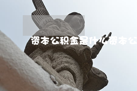 资本公积金是什么（资本公积核算内容有哪些）