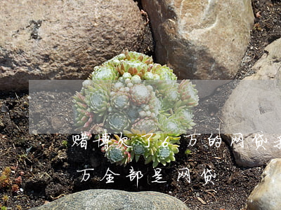 赌博欠了6万的网贷我该怎么办(网赌输了6万全部是网贷)
