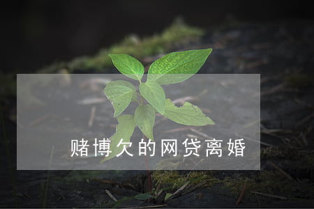 赌博欠的网贷离婚