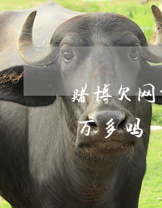 赌博欠网贷8万怎么办(网赌网贷欠了八万,八万多吗)