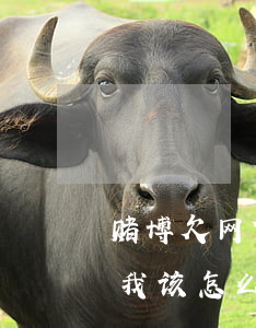 赌博欠网贷准备逾期不敢坦白(网赌欠了网贷我该怎么办)