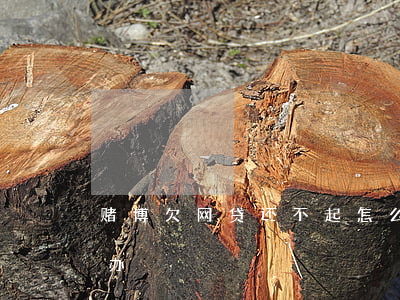 赌博欠网贷还不起怎么办(赌博欠了网贷怎么办)