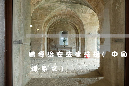 赌博治安法律法规(中国关于赌博的所有法律条文)