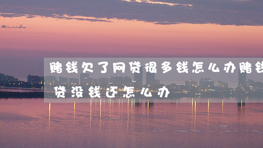 赌钱欠了网贷很多钱怎么办(赌钱欠了好多网贷没钱还怎么办)